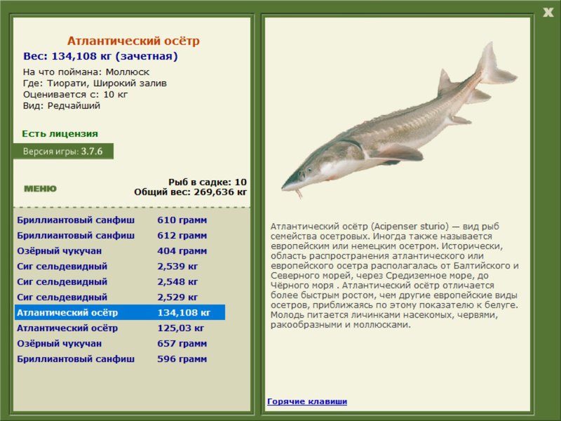 Широкий залив 