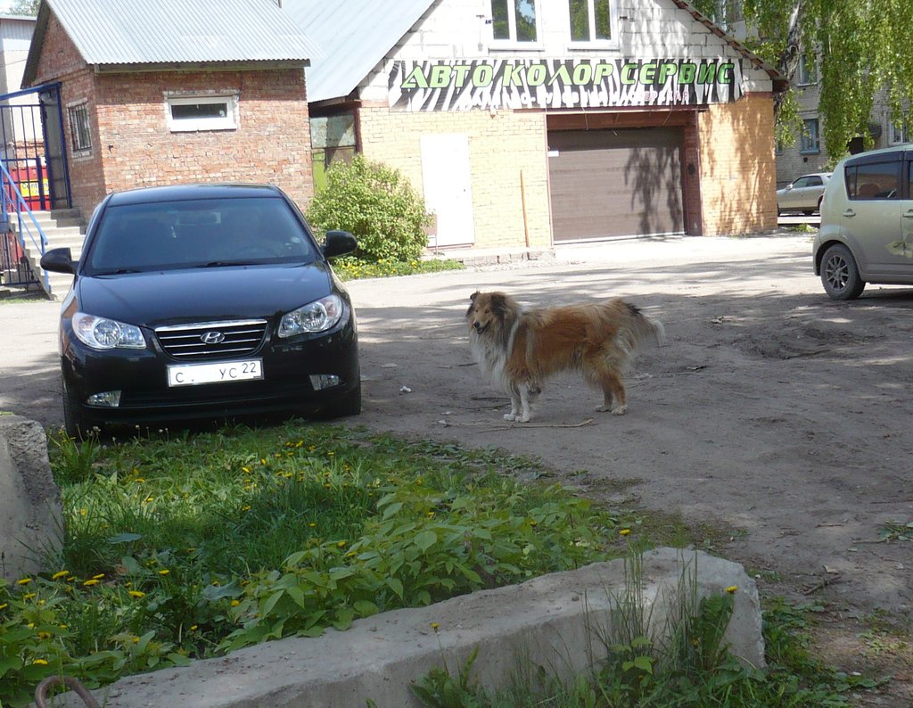 Изображение
