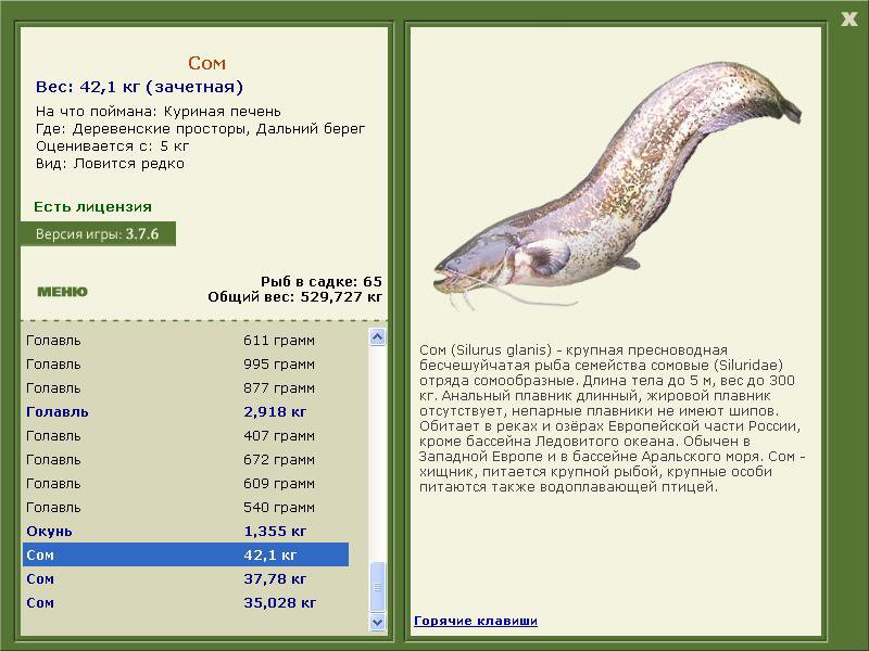 РУССКАЯ РЫБАЛКА Installsoft Edition 