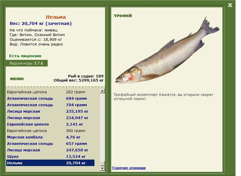 Нельма 