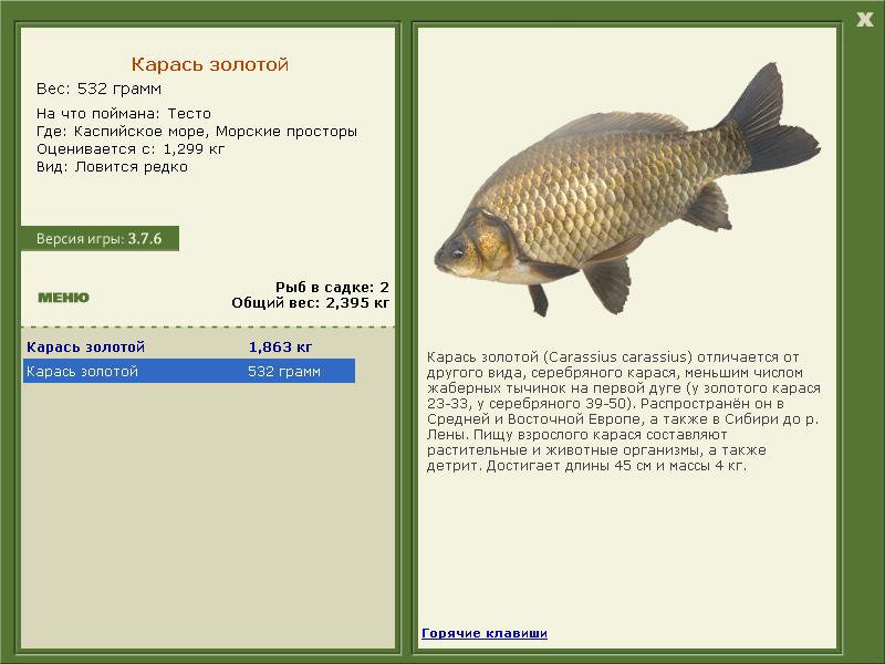 РУССКАЯ РЫБАЛКА Installsoft Edition 