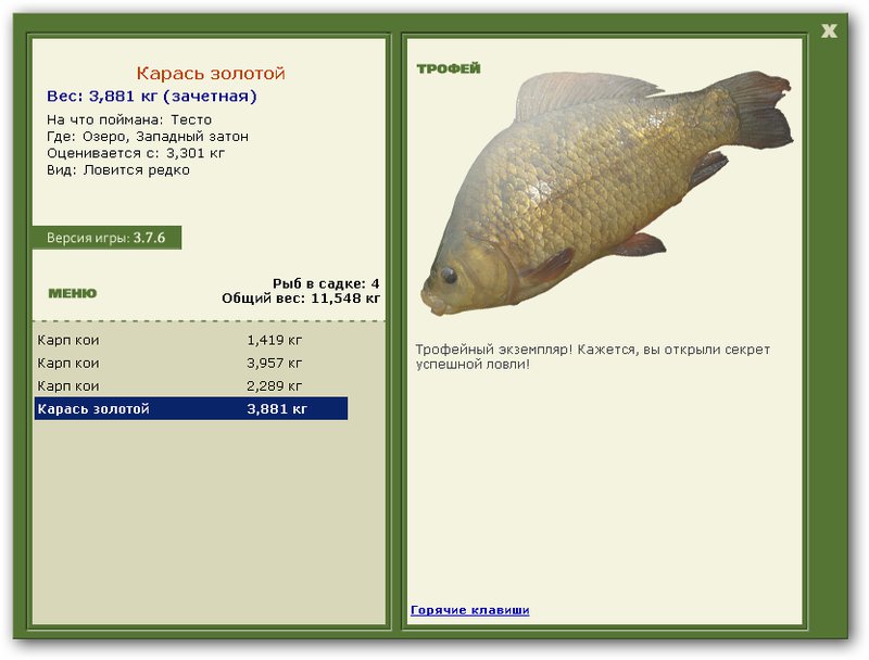 Западный затон 