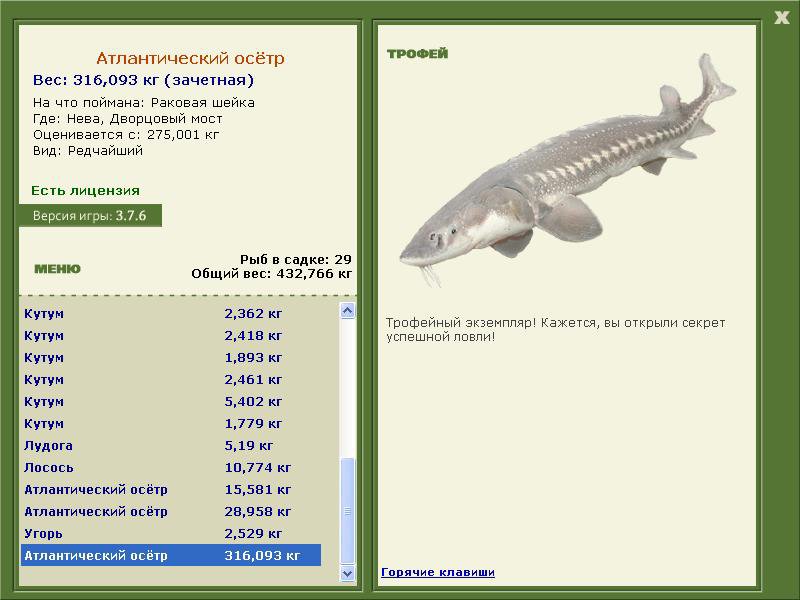 РУССКАЯ РЫБАЛКА Installsoft Edition 