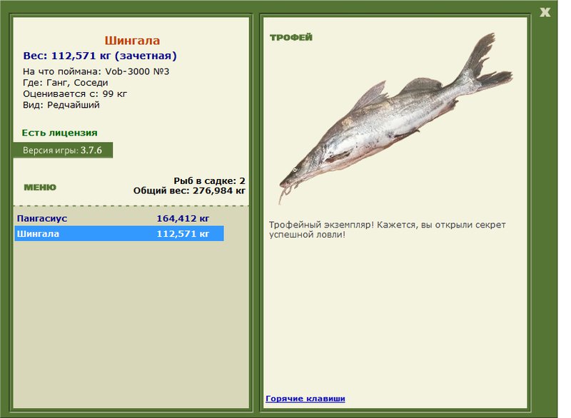 Шингала 