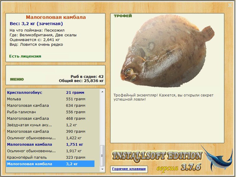 Малоголовая камбала 