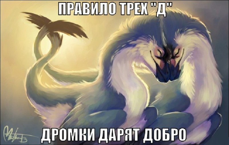  Олимп 701 и Dromka