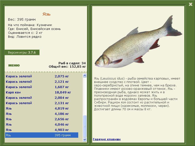 РУССКАЯ РЫБАЛКА Installsoft Edition 