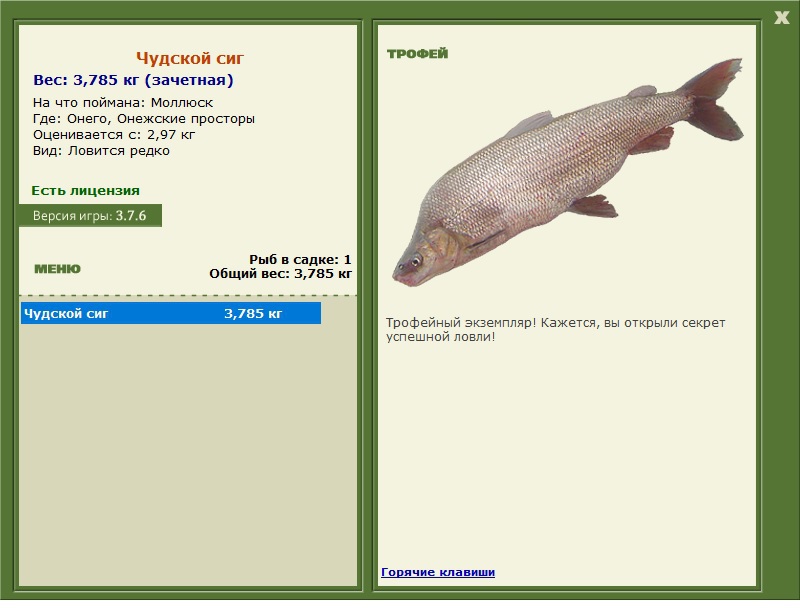 турниры • РУССКАЯ РЫБАЛКА