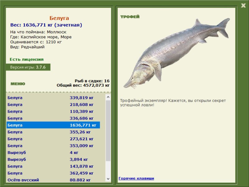 Море 