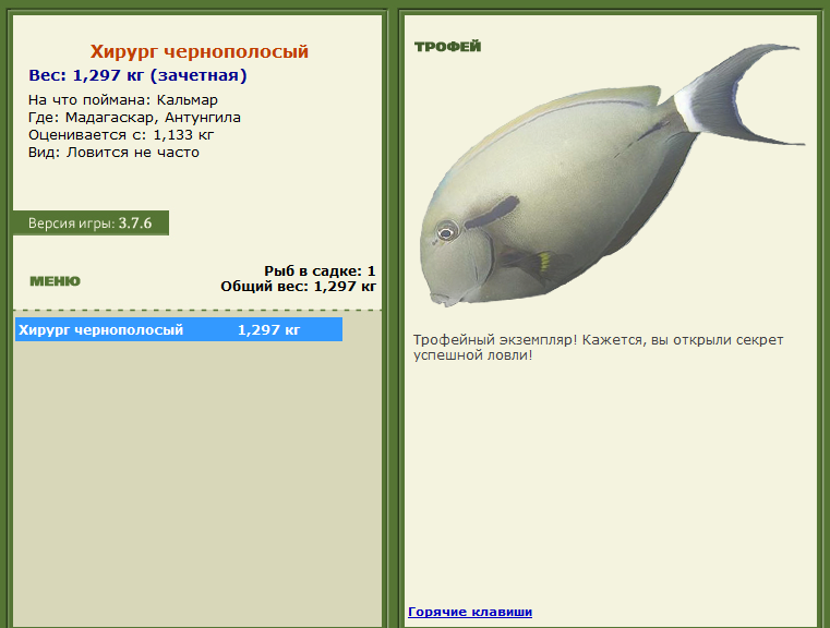 турниры • РУССКАЯ РЫБАЛКА
