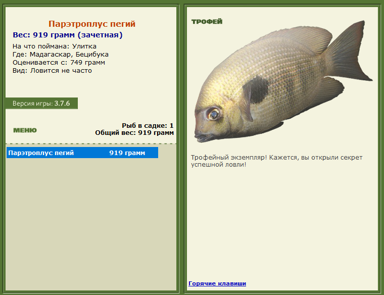 турниры • РУССКАЯ РЫБАЛКА