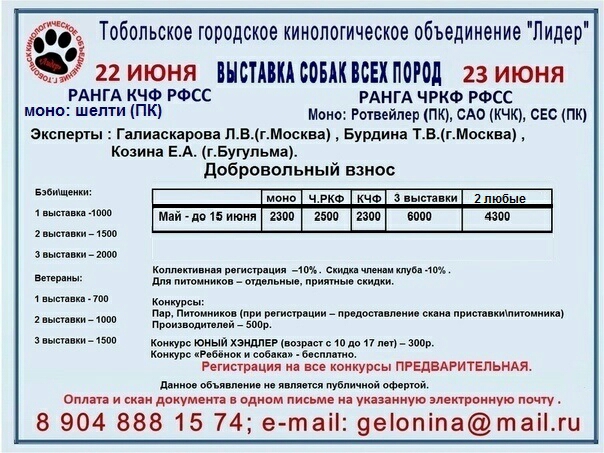  22.06.2019 г. Тобольск, моно шелти ПК, 2хСАС (ЧРКФ, КЧФ)