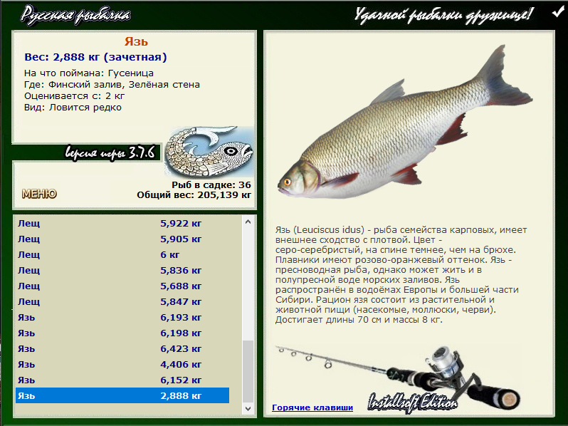 турниры • РУССКАЯ РЫБАЛКА