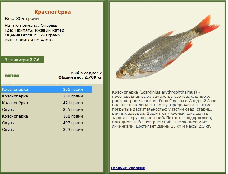 турниры • РУССКАЯ РЫБАЛКА