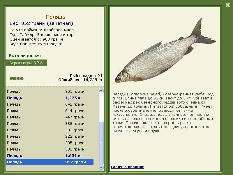 РУССКАЯ РЫБАЛКА Installsoft Edition 