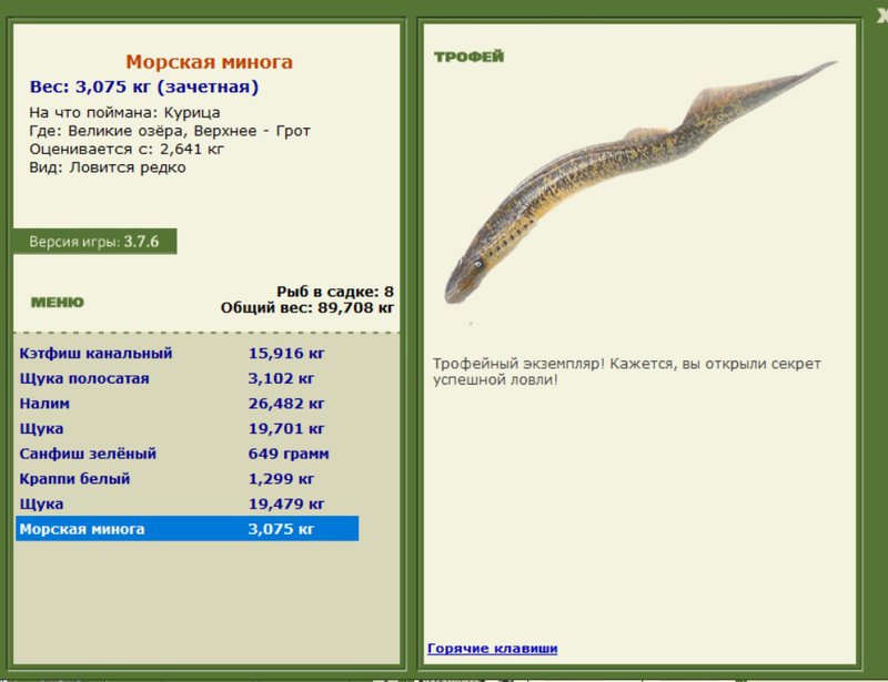 Морская минога 