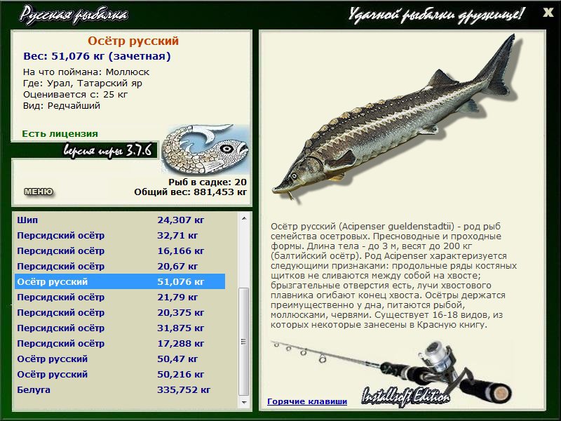 Татарский яр 