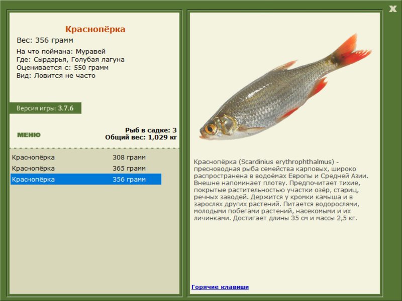 Голубая лагуна 