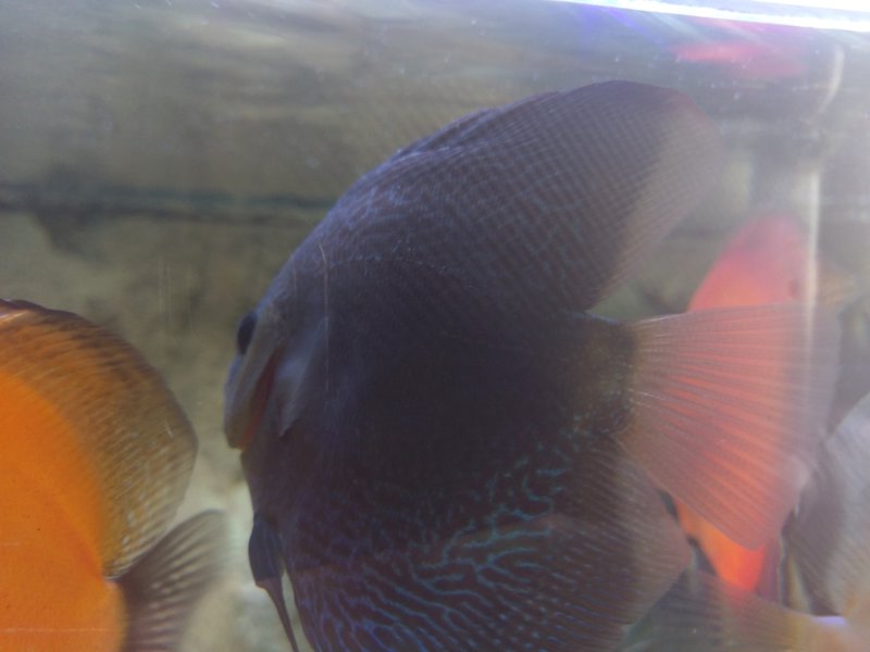  Редактировать сообщение