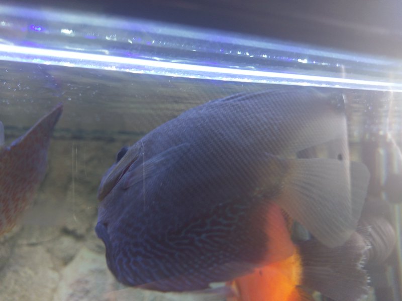  Редактировать сообщение