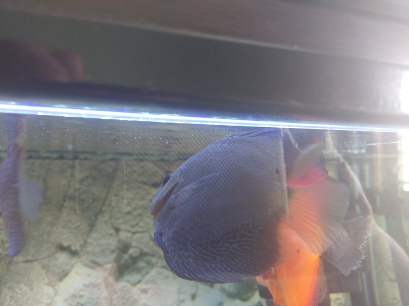  Редактировать сообщение