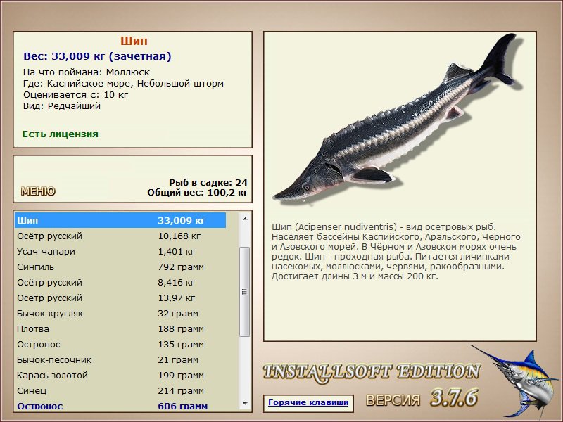 Каспийское море 
