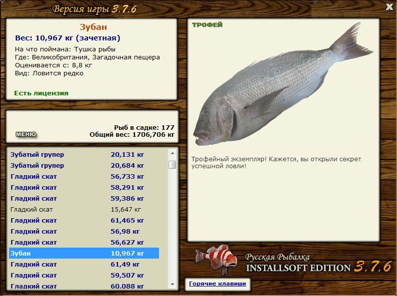 Заявки на рекорд 