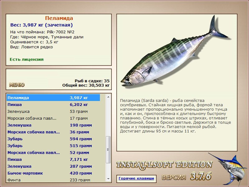Чёрное море 