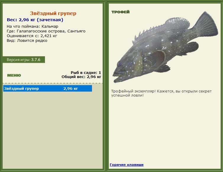 турниры • РУССКАЯ РЫБАЛКА