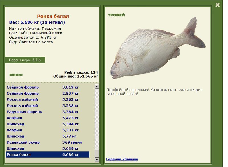 Ронка белая 