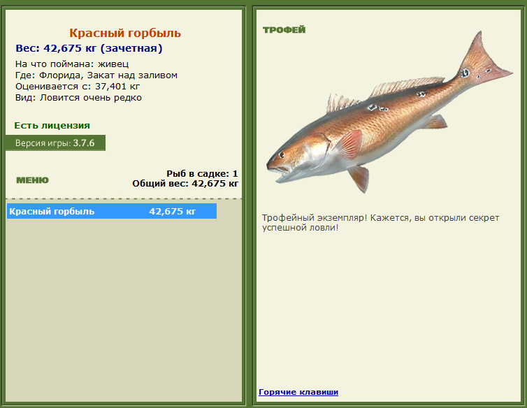 турниры • РУССКАЯ РЫБАЛКА