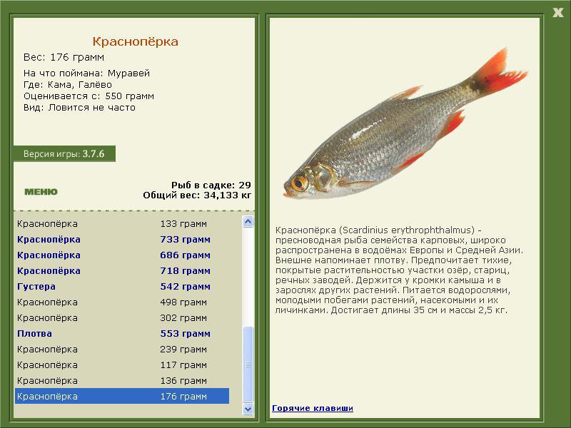 РУССКАЯ РЫБАЛКА Installsoft Edition 