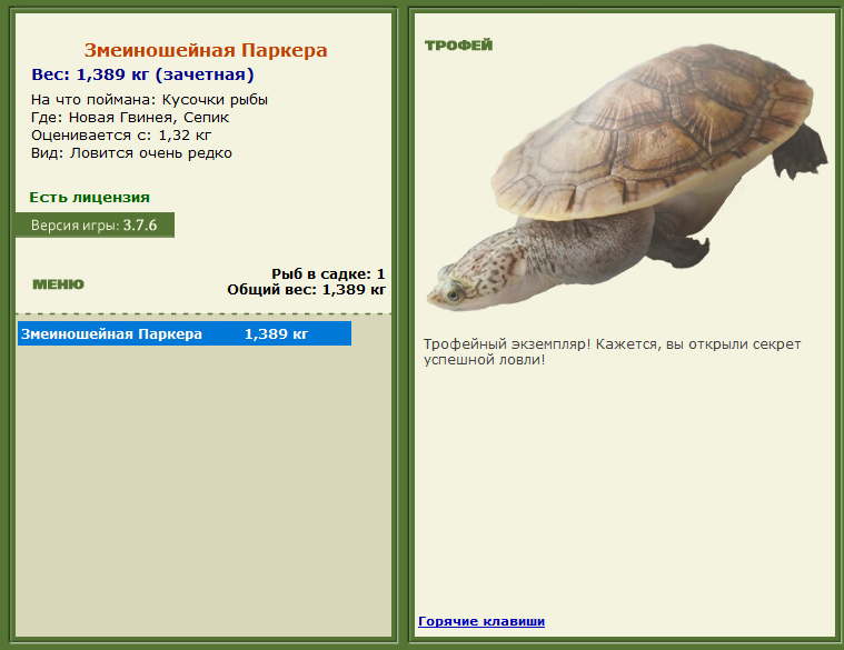 турниры • РУССКАЯ РЫБАЛКА