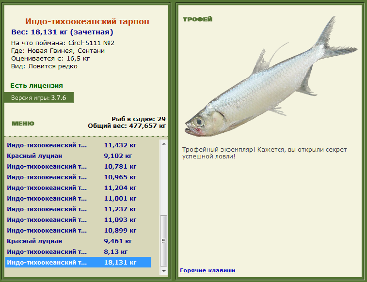 турниры • РУССКАЯ РЫБАЛКА