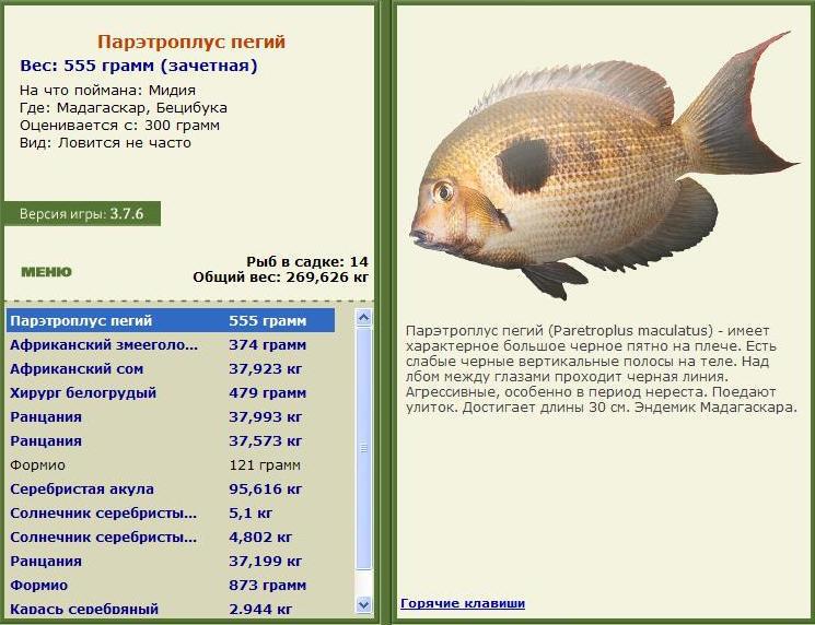 Деревенские просторы 