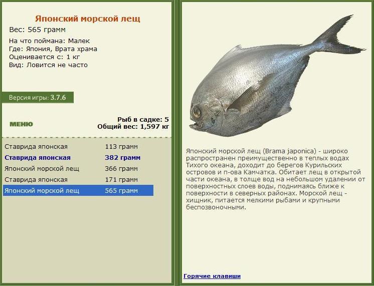 Врата храма 