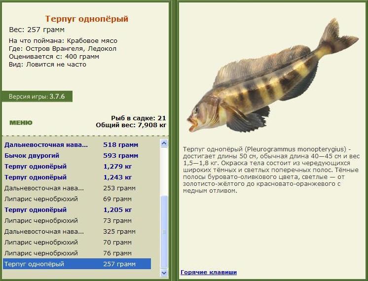 Ледокол 