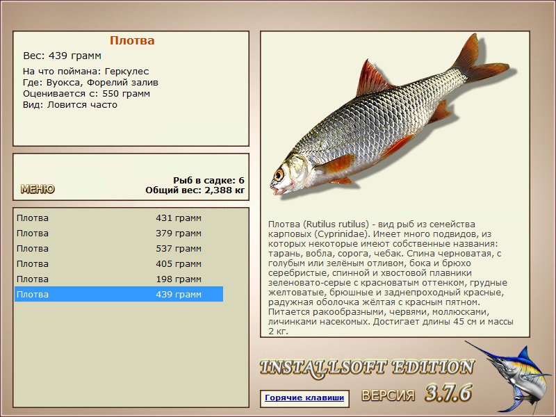 Форелий залив 