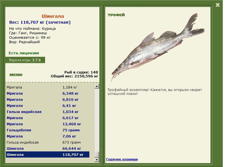 Шингала 