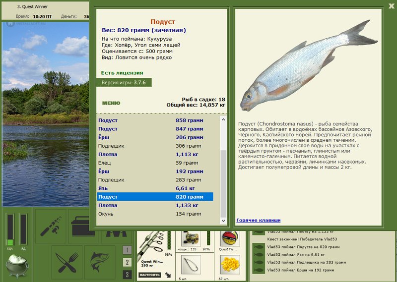 Угол семи лещей 