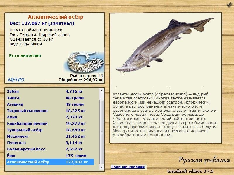 Широкий залив 