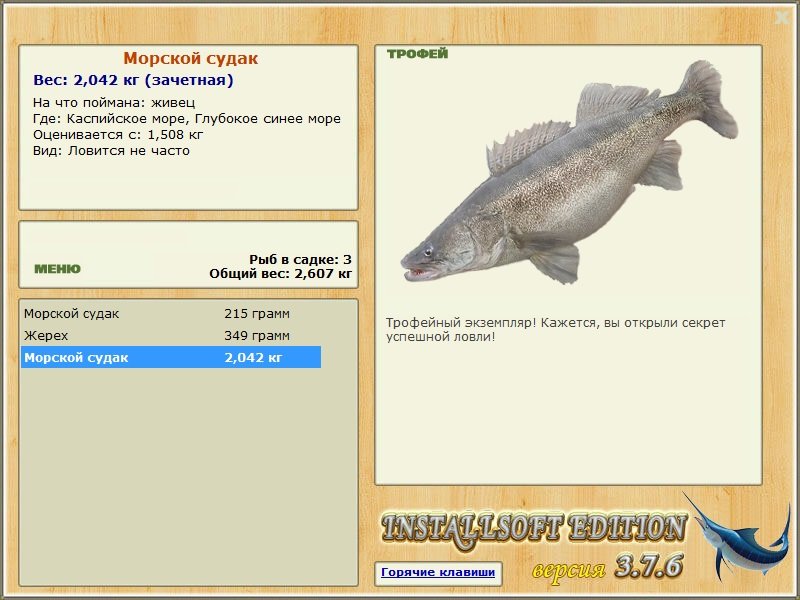 Морской судак 