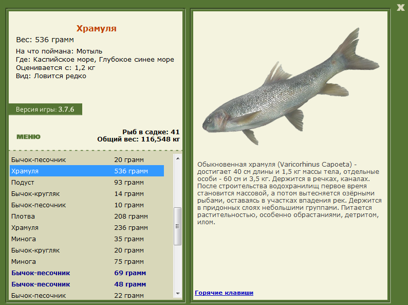 Каспийское море 