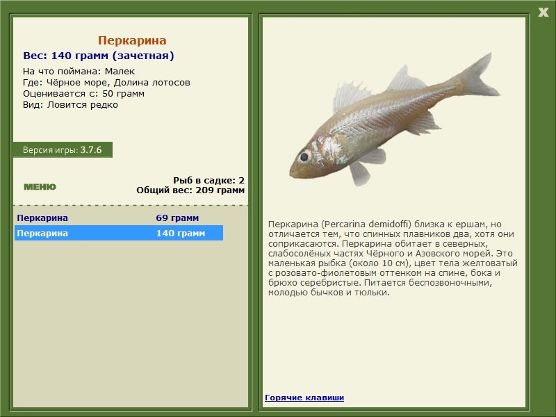 Долина лотосов 