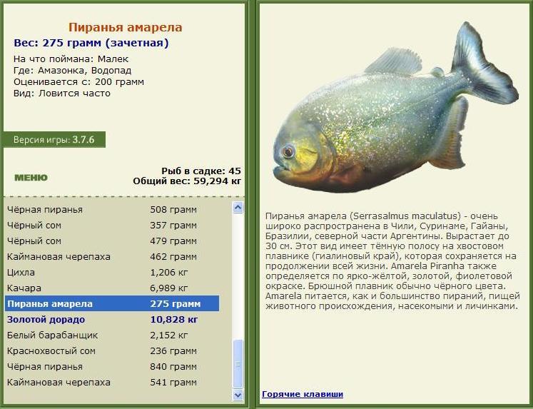 Магазин Пиранья Миасс График Работы