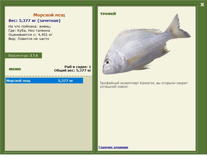 Морской лещ 