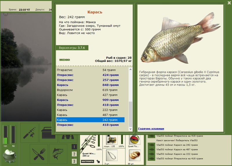 Туманный омут 