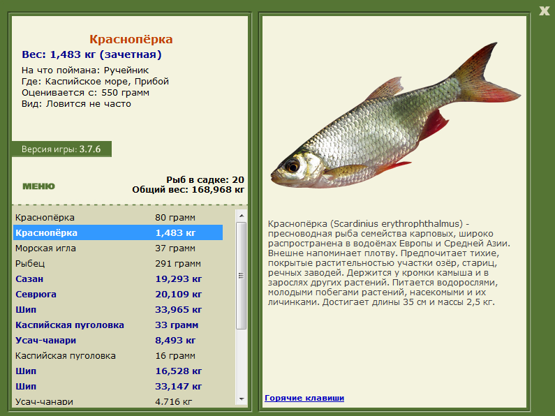 Каспийское море 