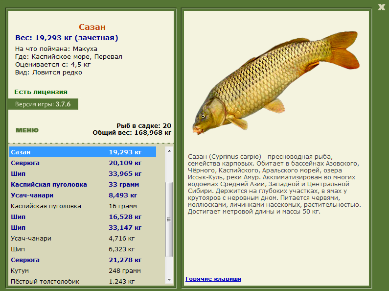 Каспийское море 