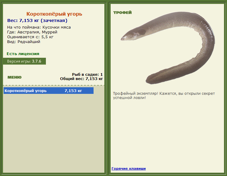турниры • РУССКАЯ РЫБАЛКА